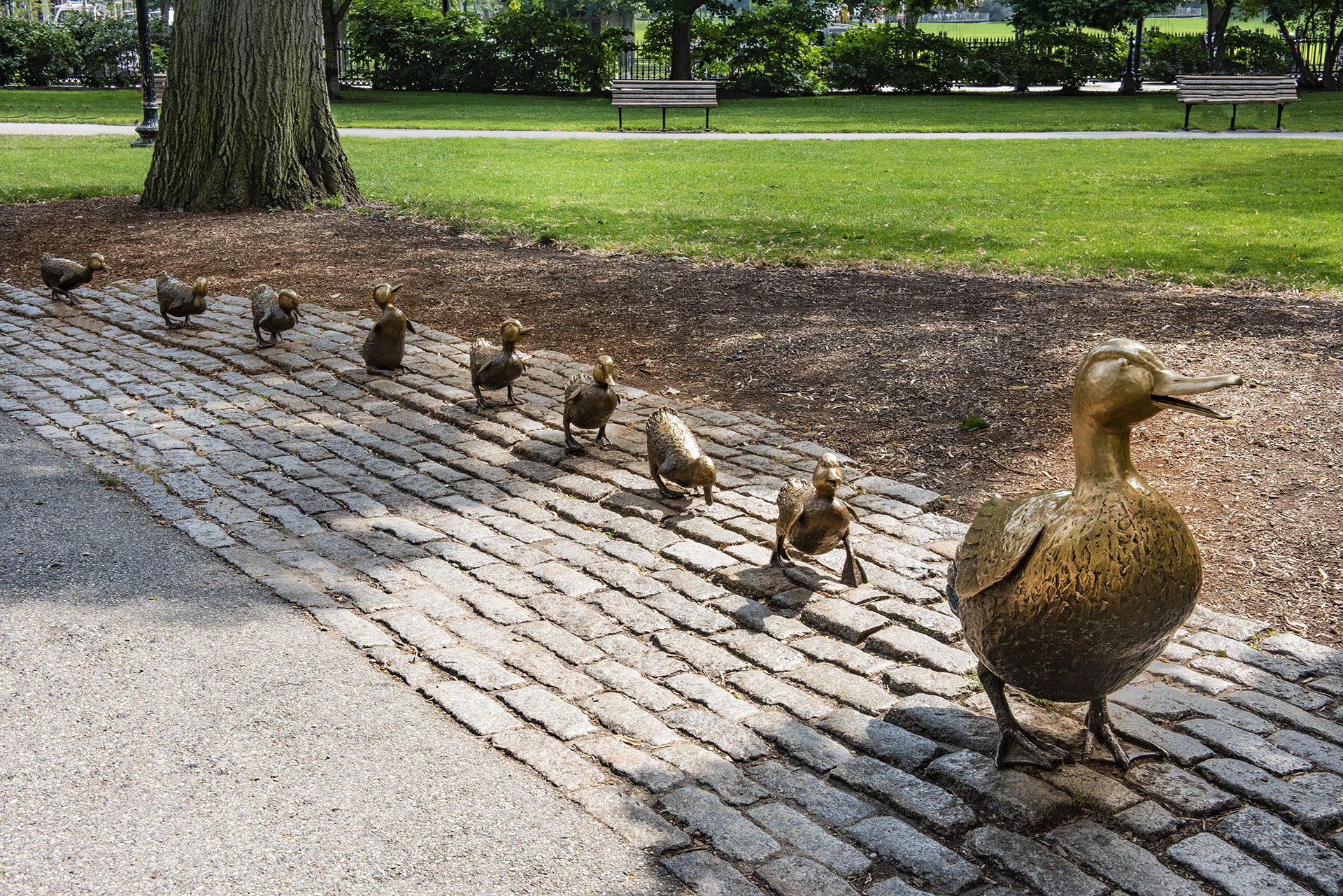 Beacon Hill district of Boston, MA, USA, Boston Common, Make way for Ducklings, (1987) Sculpted in bronze by Nancy Schön. Mrs. Mallard and Jack, Kack, Lack, Mack, Nack, Ouack, Pack, and Quack.