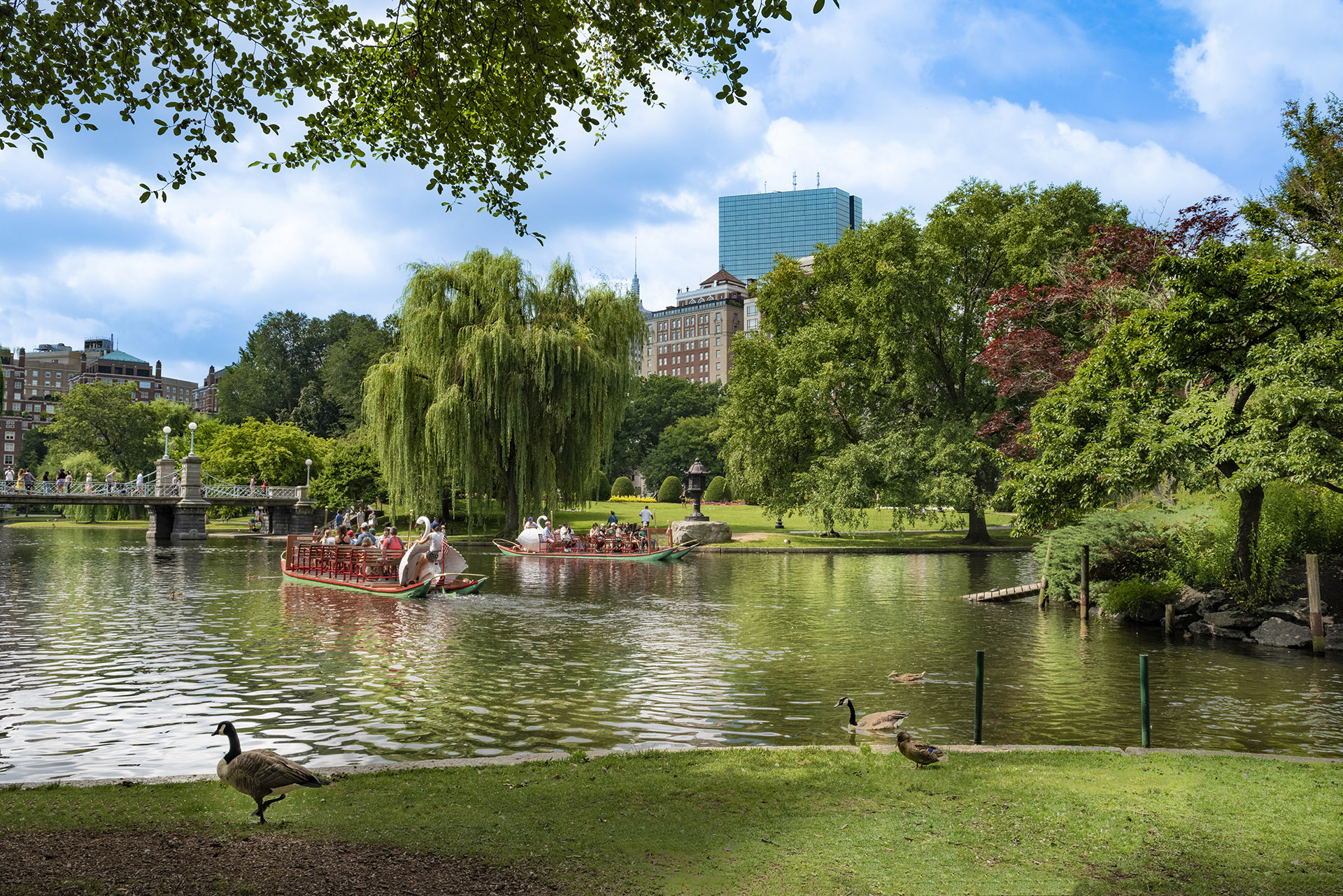 Beacon Hill district of Boston, MA, USA. Boston Common, Public Gardens, Swan Boats on the lake.